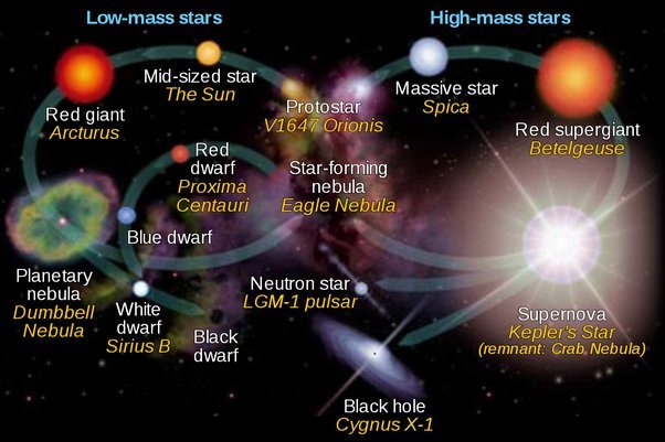 Stars Unveiled: The Dramatic Life Cycle of the Universe's Giants