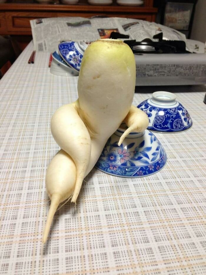 30 Fruits And Vegetables That Look Like Other Things | DeMilked