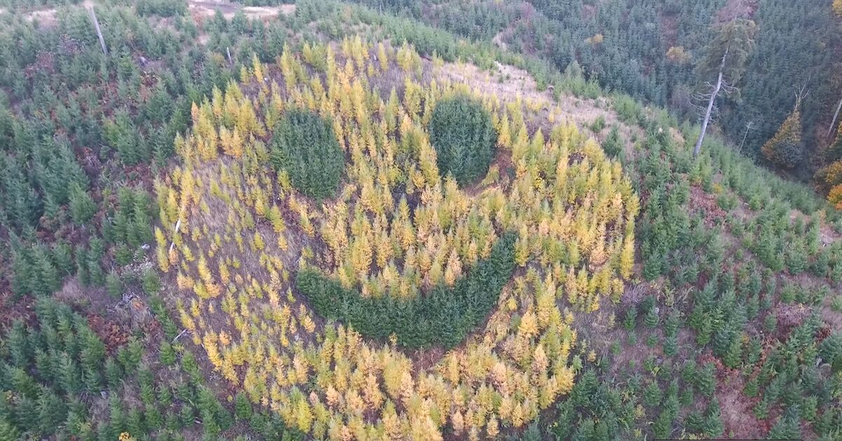 giant-smiley-4 smiley face 4