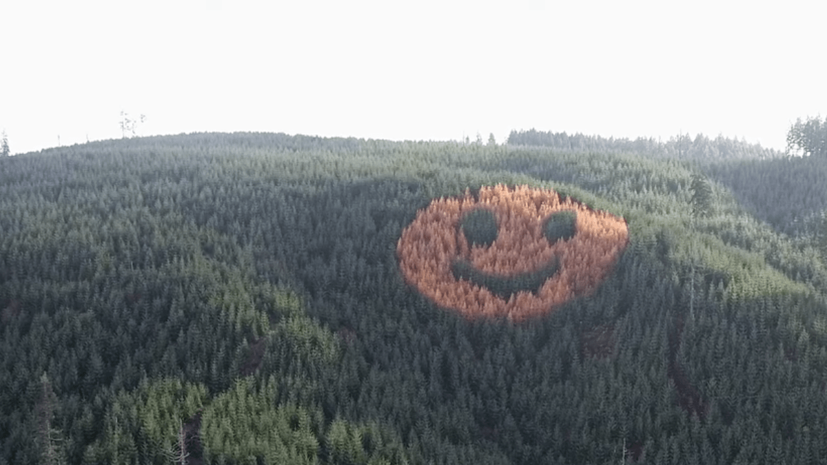 giant-smiley-1 smiley face 1