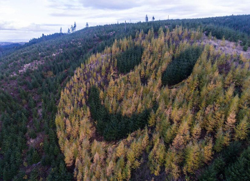 giant-smiley-2 smiley face 2