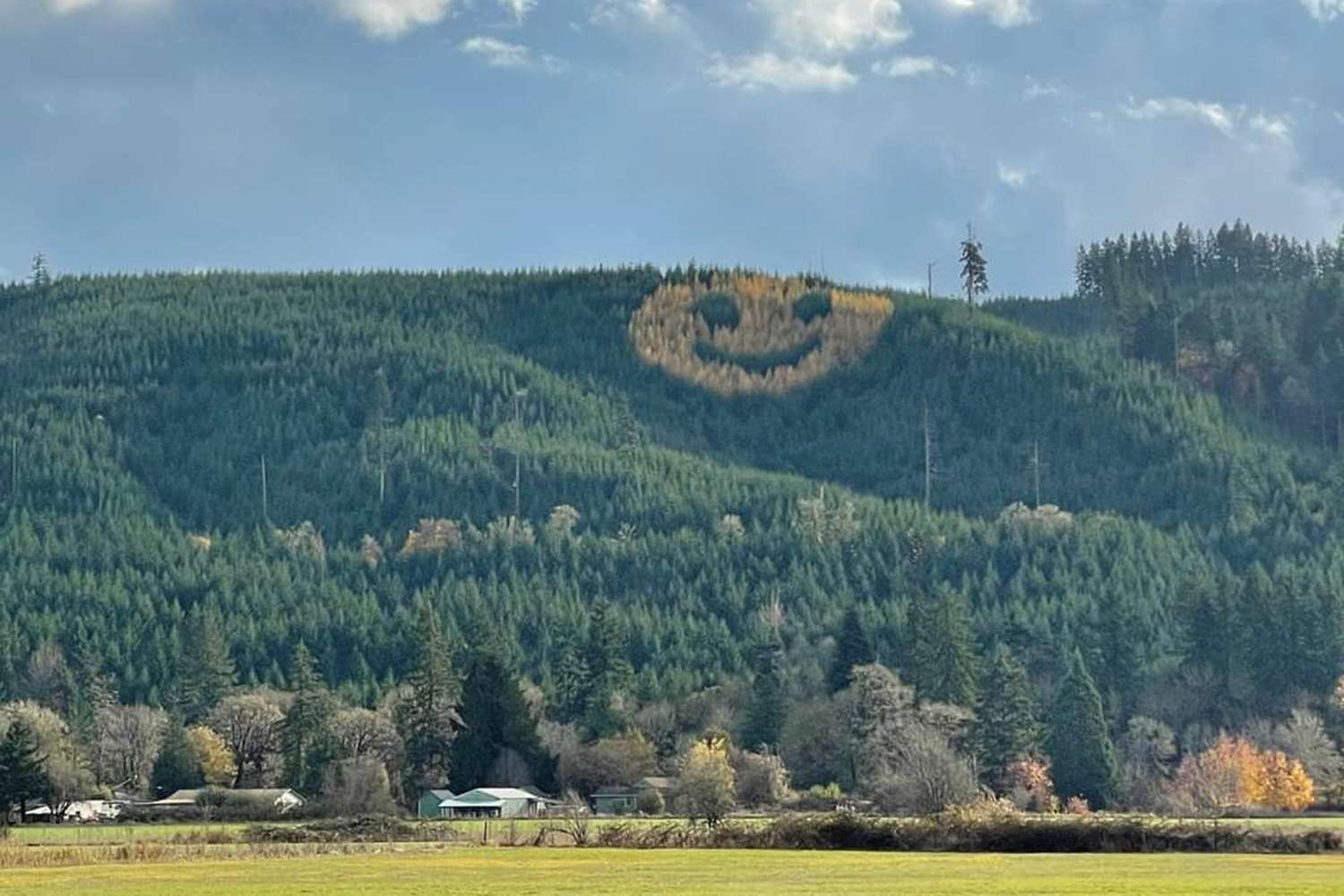giant-smiley-3 smiley face 3