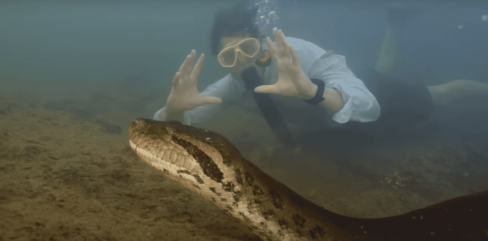 anaconda 2