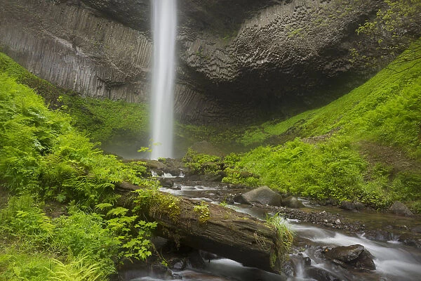 USA, Oregon, Columbia River Gorge. Latourell Falls