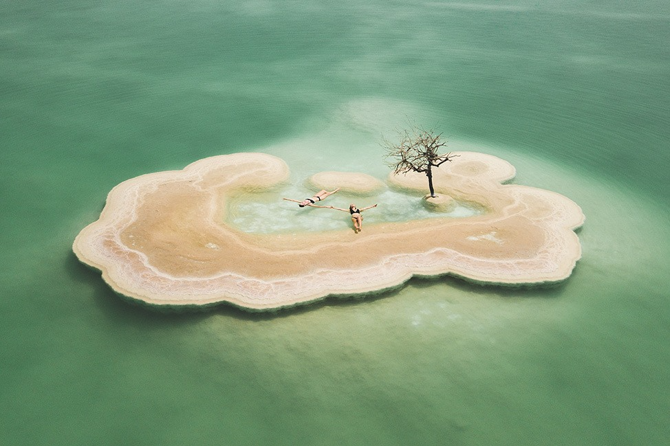 enigmatic tree