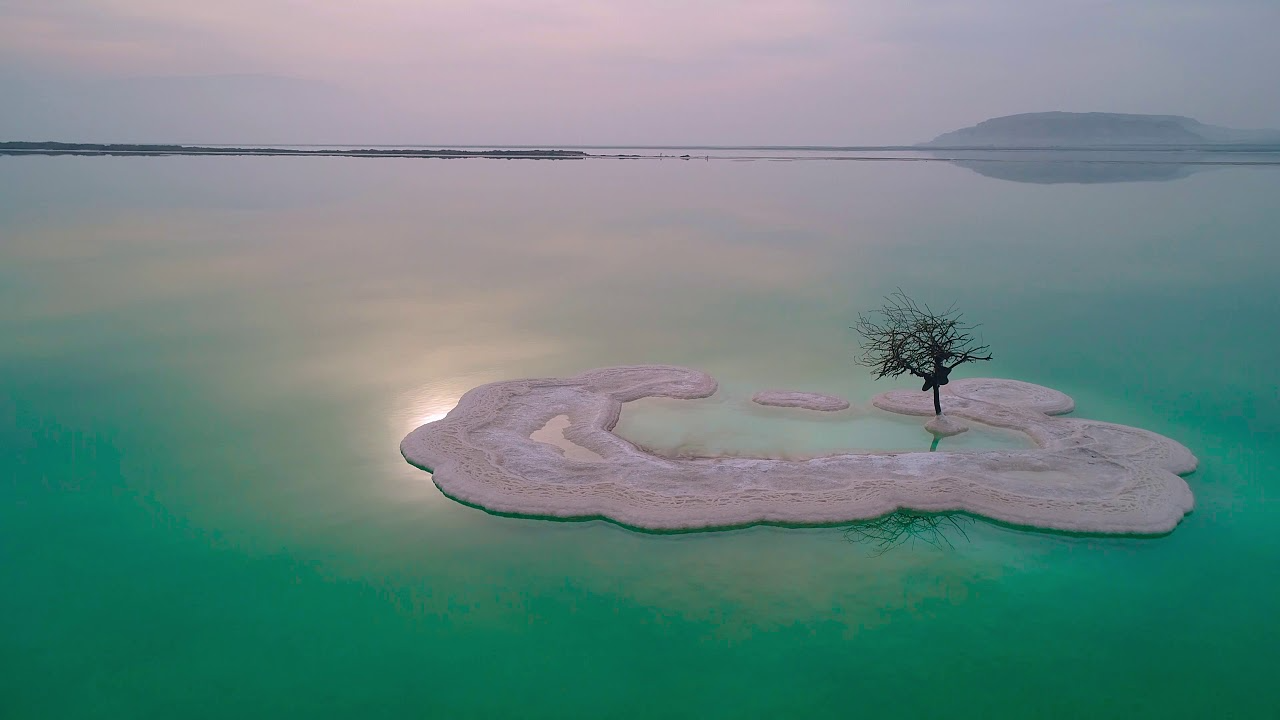 enigmatic tree 4