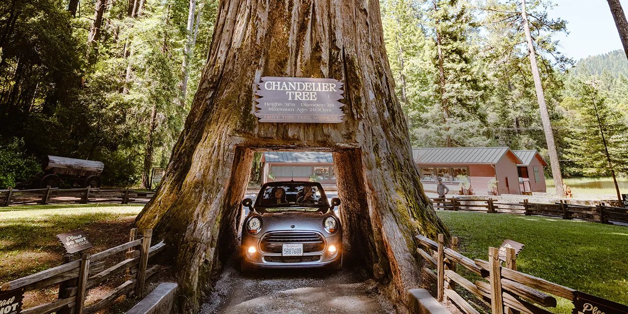 Take a California Road Trip to the Chandelier Drive-Thru Tree