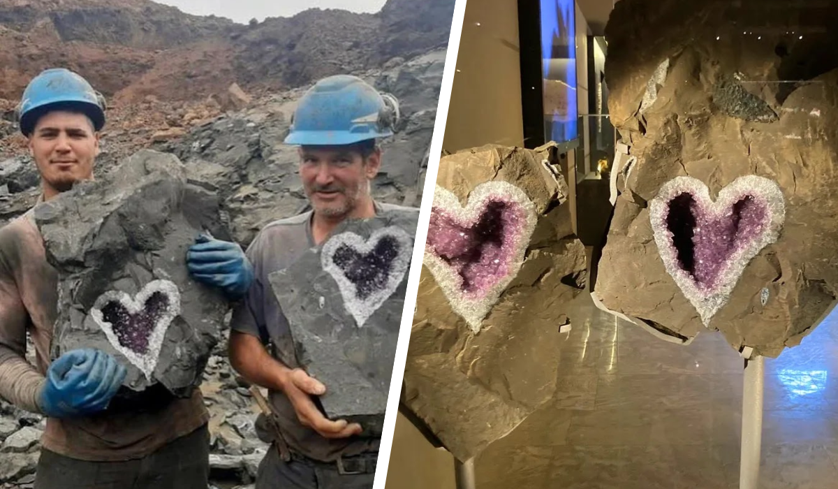 heart-shaped-feature.png