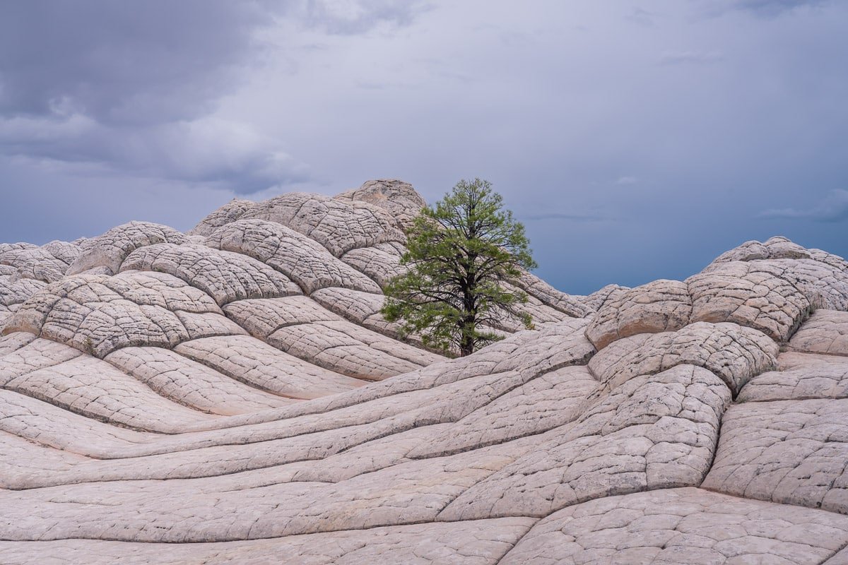 White Pocket: A journey into the Southwest's most astonishing landscape