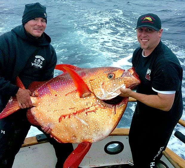 8-Hour Inshore/Local Offshore & Kelp Bed Fishing | Outguided