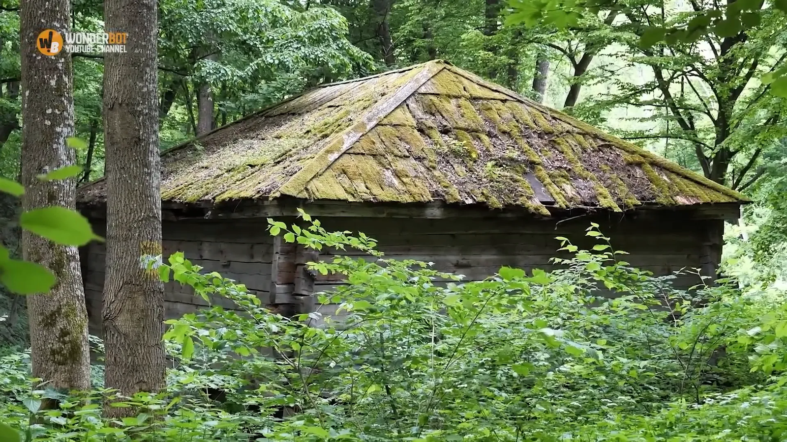 Elias discovers a man-made hut