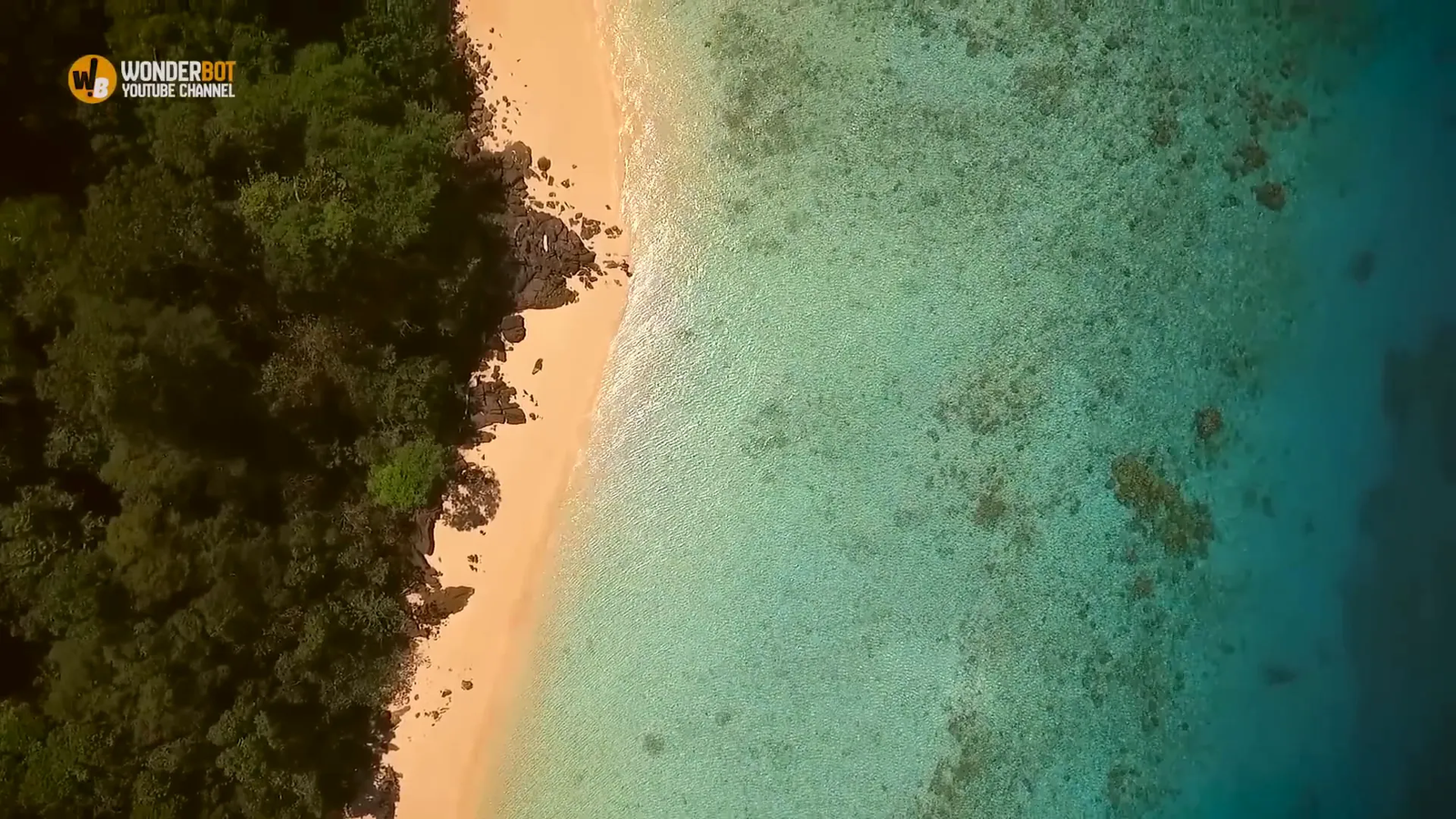 Elias returns to the beach